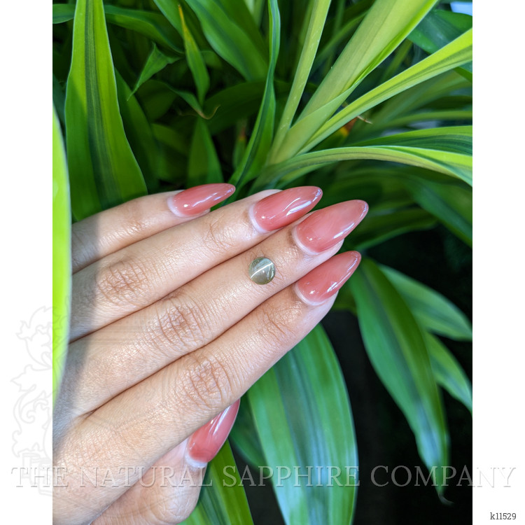 1.55 Ct. Cabochon Chrysoberyl from Ceylon (Sri Lanka)