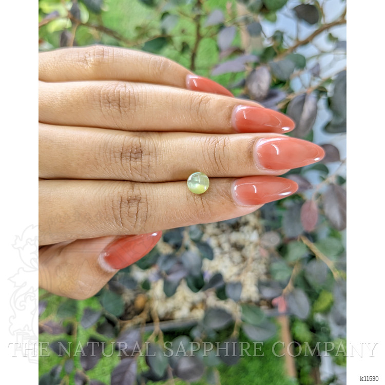 2.09 Ct. Cabochon Chrysoberyl from Ceylon (Sri Lanka)