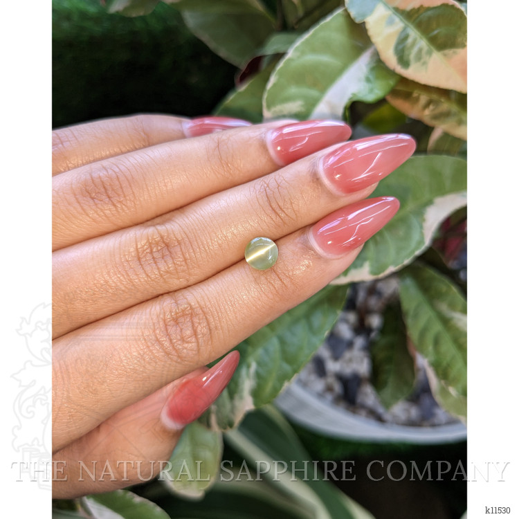 2.09 Ct. Cabochon Chrysoberyl from Ceylon (Sri Lanka)