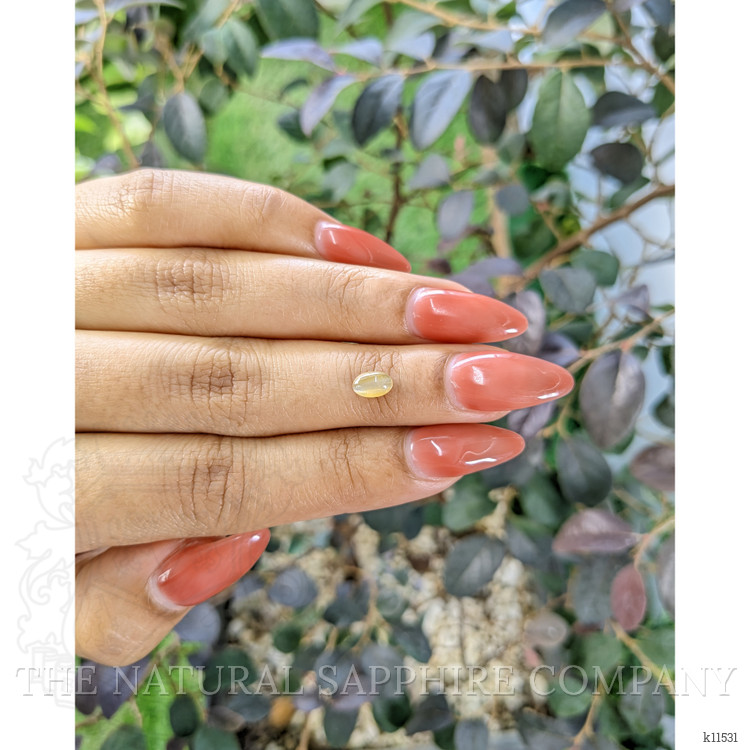 0.73 Ct. Cabochon Chrysoberyl from Ceylon (Sri Lanka)