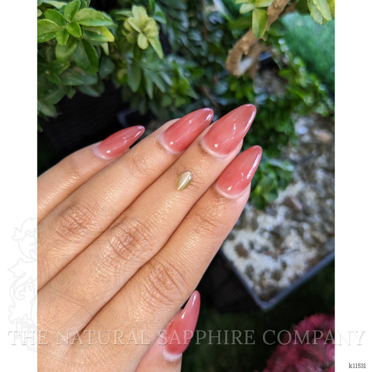 0.73 Ct. Cabochon Chrysoberyl from Ceylon (Sri Lanka)