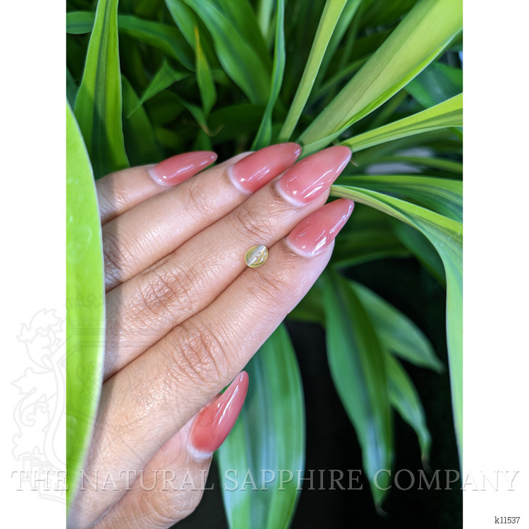1.01 Ct. Cabochon Chrysoberyl from Ceylon (Sri Lanka)