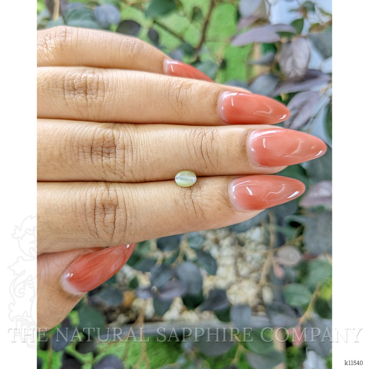 0.67 Ct. Cabochon Chrysoberyl from Ceylon (Sri Lanka)