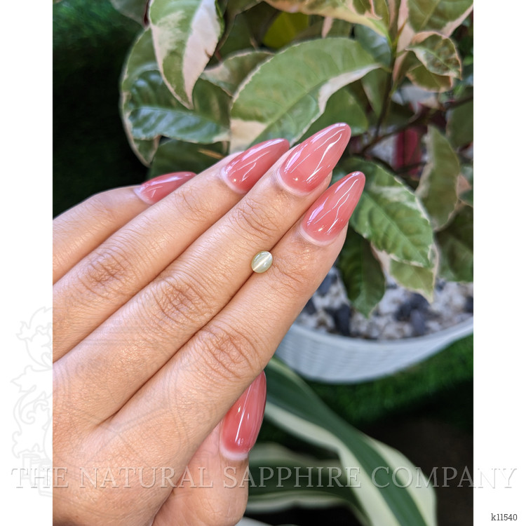 0.67 Ct. Cabochon Chrysoberyl from Ceylon (Sri Lanka)