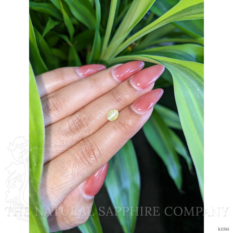 1.27 Ct. Cabochon Chrysoberyl from Ceylon (Sri Lanka)