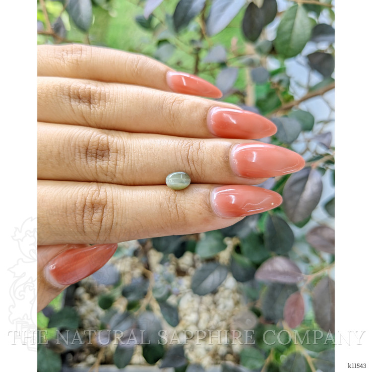 1.33 Ct. Cabochon Chrysoberyl from Ceylon (Sri Lanka)