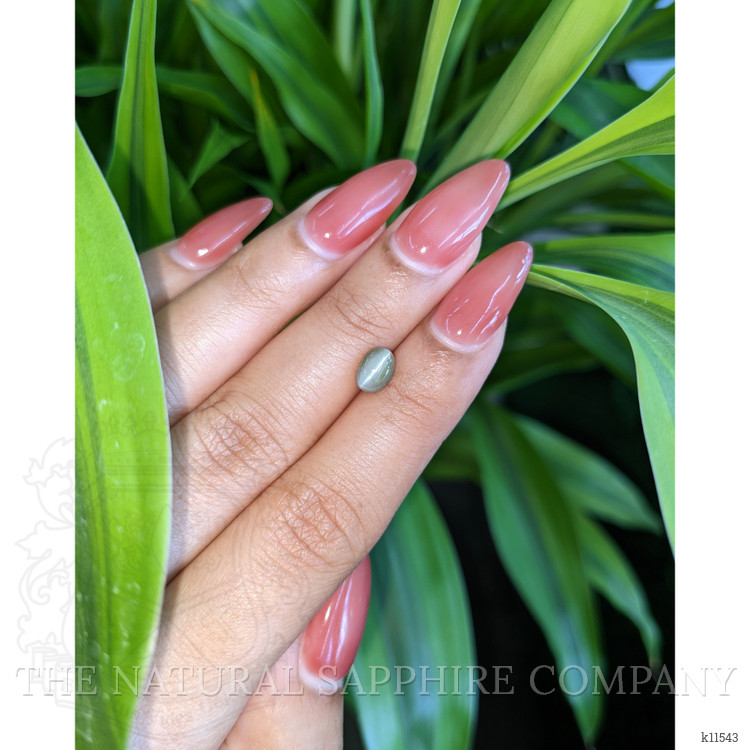 1.33 Ct. Cabochon Chrysoberyl from Ceylon (Sri Lanka)