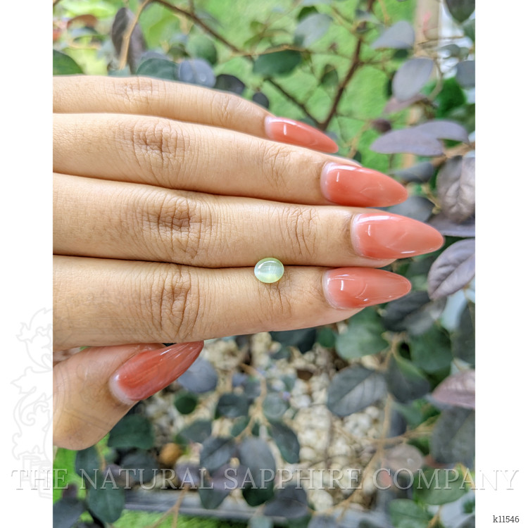 1.29 Ct. Cabochon Chrysoberyl from Ceylon (Sri Lanka)