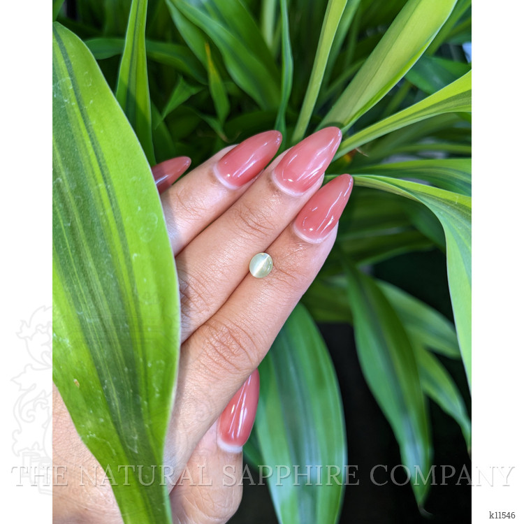 1.29 Ct. Cabochon Chrysoberyl from Ceylon (Sri Lanka)