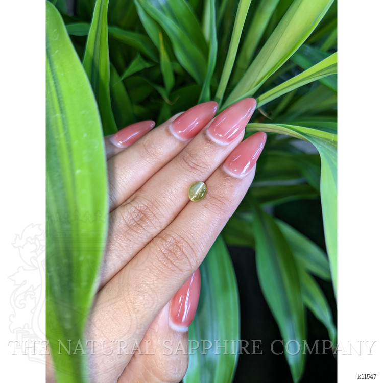 1.87 Ct. Cabochon Chrysoberyl from Ceylon (Sri Lanka)