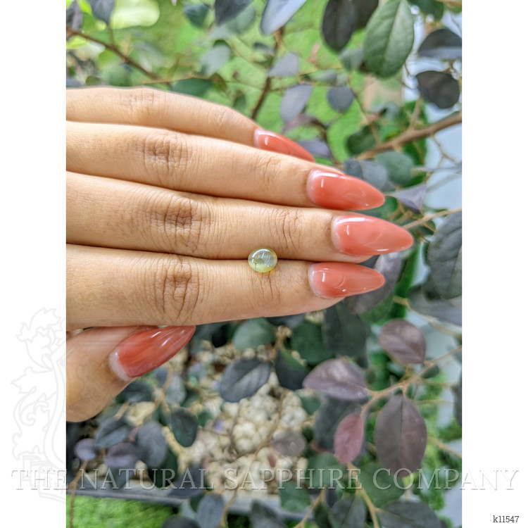 1.87 Ct. Cabochon Chrysoberyl from Ceylon (Sri Lanka)