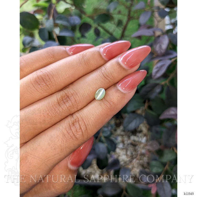 1.41 Ct. Cabochon Chrysoberyl from Ceylon (Sri Lanka)