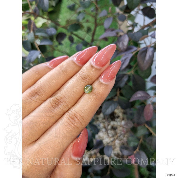 1.31 Ct. Cabochon Chrysoberyl from Ceylon (Sri Lanka)