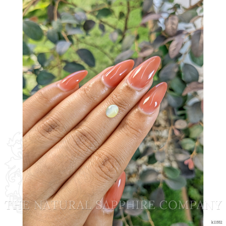 1.24 Ct. Cabochon Chrysoberyl from Ceylon (Sri Lanka)