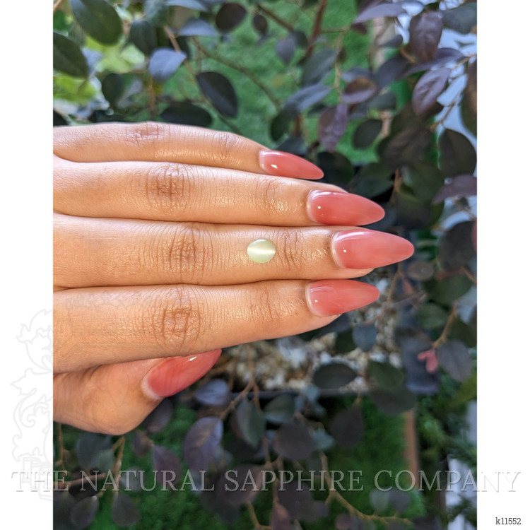 1.24 Ct. Cabochon Chrysoberyl from Ceylon (Sri Lanka)