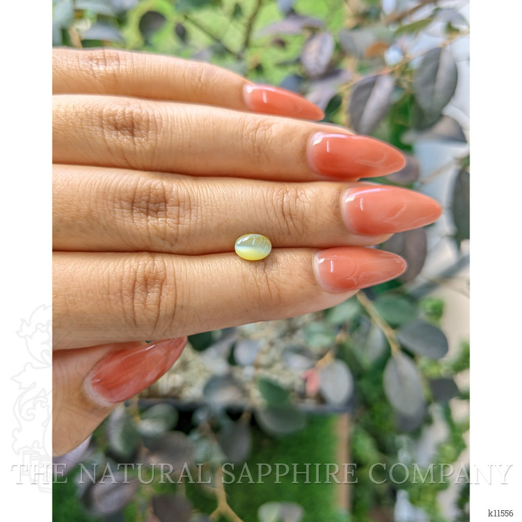 1.23 Ct. Cabochon Chrysoberyl from Ceylon (Sri Lanka)