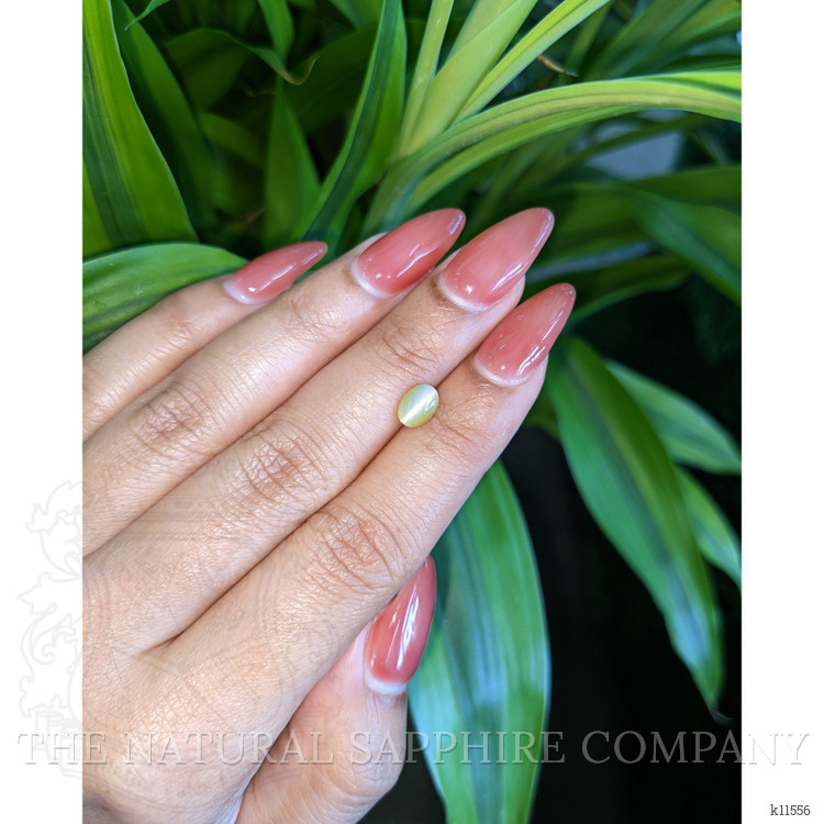 1.23 Ct. Cabochon Chrysoberyl from Ceylon (Sri Lanka)