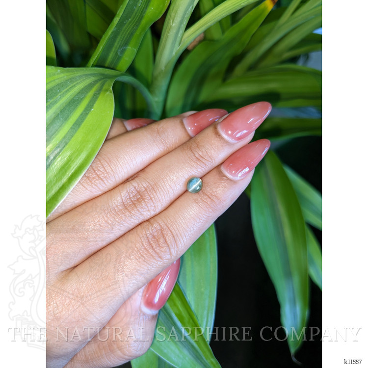 1.17 Ct. Cabochon Chrysoberyl from Ceylon (Sri Lanka)