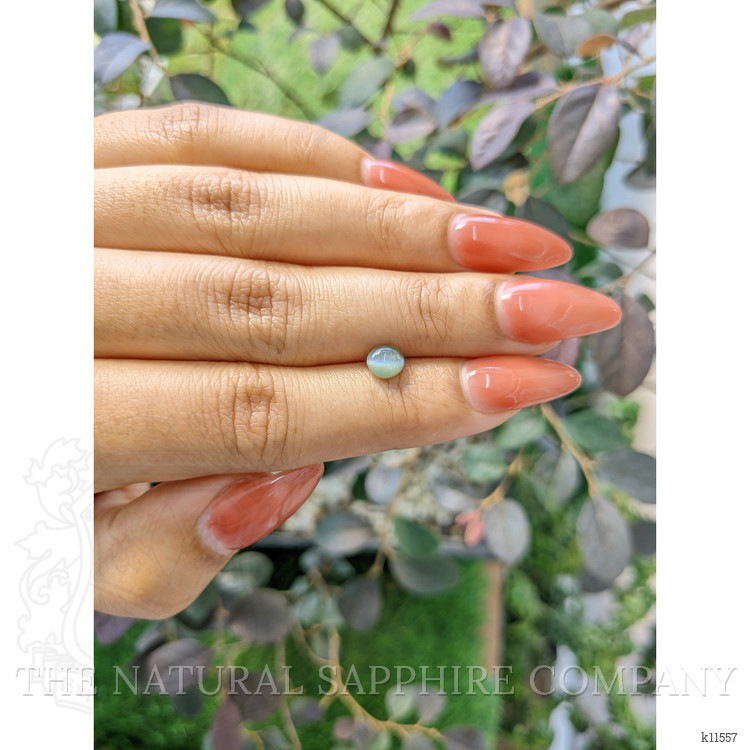 1.17 Ct. Cabochon Chrysoberyl from Ceylon (Sri Lanka)