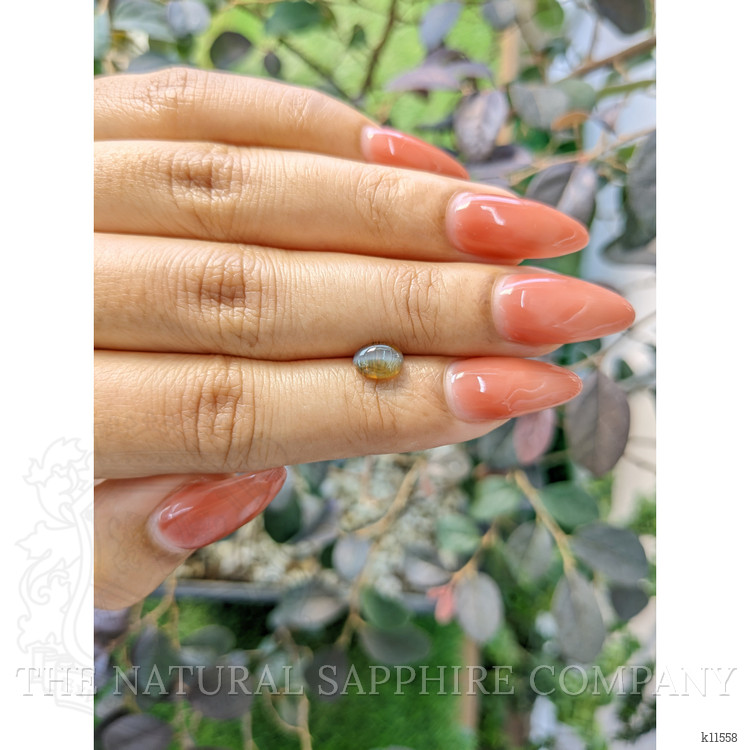 1.35 Ct. Cabochon Chrysoberyl from Ceylon (Sri Lanka)