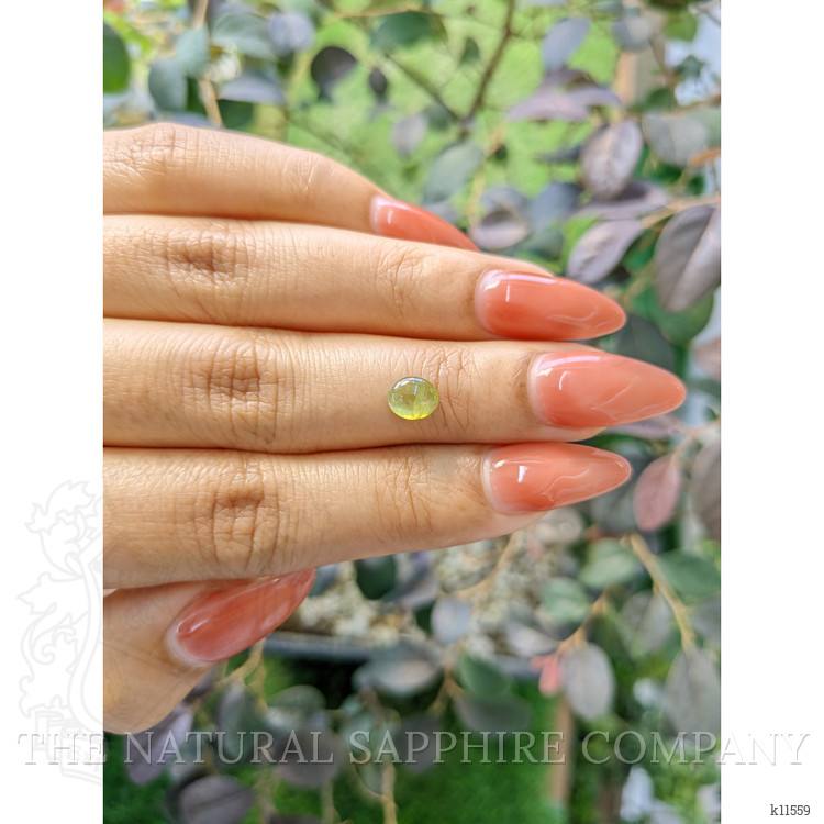 1.14 Ct. Cabochon Chrysoberyl from Ceylon (Sri Lanka)