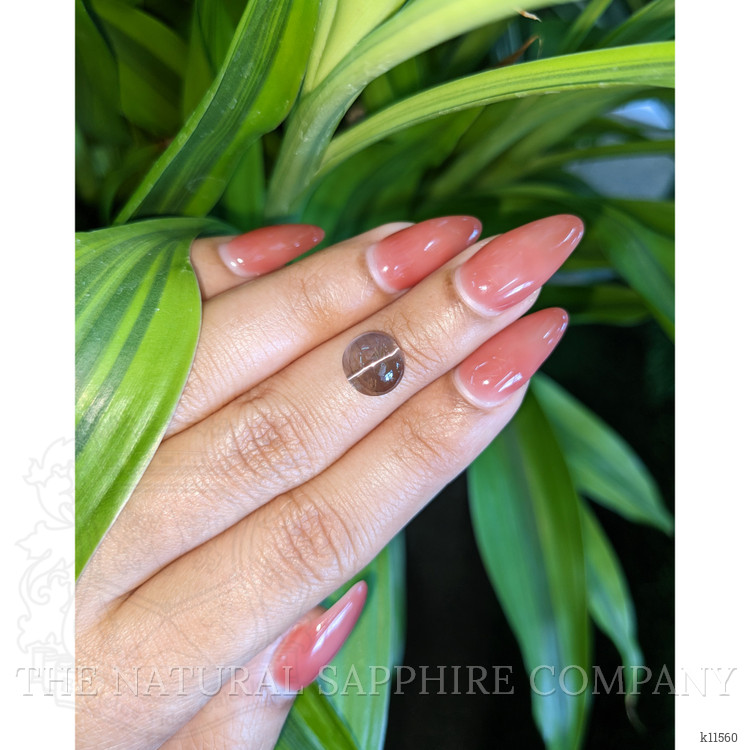 3.62 Ct. Cabochon Chrysoberyl from Ceylon (Sri Lanka)