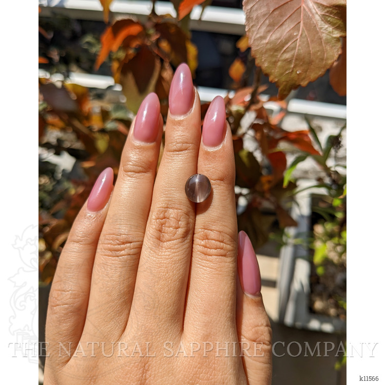 3.72 Ct. Cabochon Chrysoberyl from Ceylon (Sri Lanka)