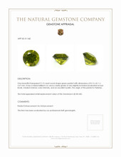 Jewelry Appraisal
