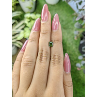 0.75 Ct. Tourmaline from Ceylon (Sri Lanka) Life Style