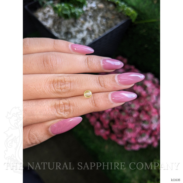 1.22 Ct. Cabochon Chrysoberyl from Ceylon (Sri Lanka)