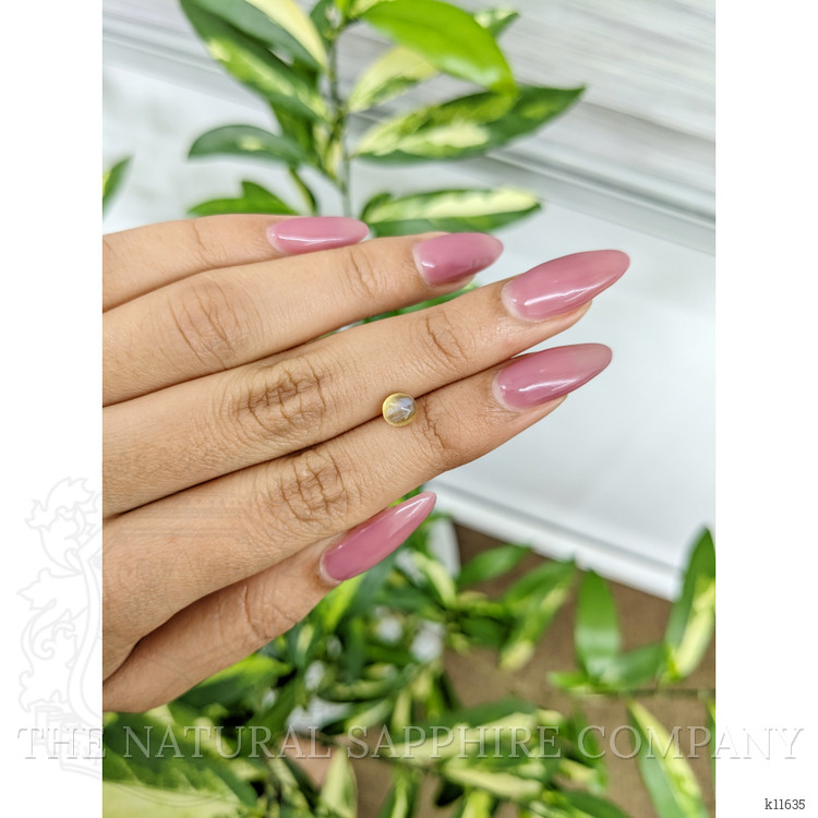 1.22 Ct. Cabochon Chrysoberyl from Ceylon (Sri Lanka)