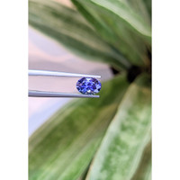 1.39 Ct. Tanzanite from Tanzania Life Style