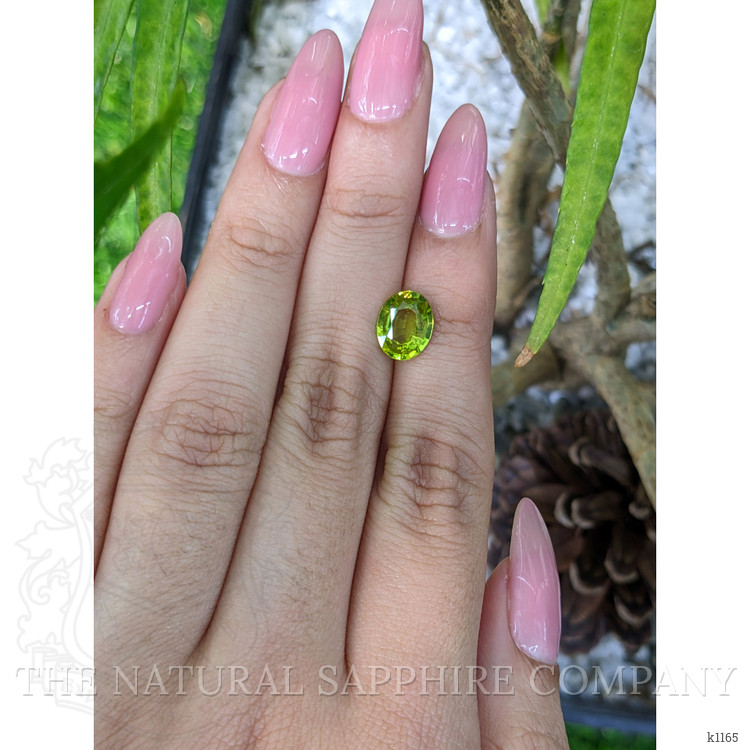 1.68 Ct. Peridot from Pakistan