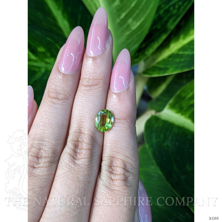 1.68 Ct. Peridot from Pakistan