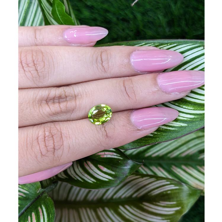 1.47 Ct. Peridot from Pakistan