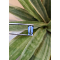 3.79 Ct. Tanzanite from Tanzania Life Style