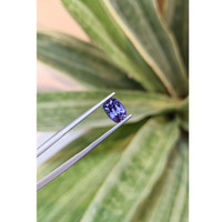 1.58 Ct. Tanzanite from Tanzania Life Style