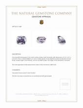 3.66 Ct. Tanzanite from Tanzania Appraisal