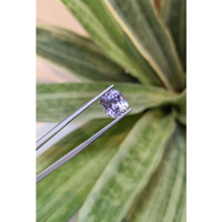 3.66 Ct. Tanzanite from Tanzania Life Style