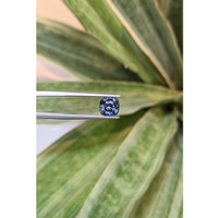2.50 Ct. Tanzanite from Tanzania Life Style