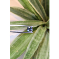 2.41 Ct. Tanzanite from Tanzania Life Style