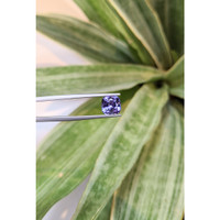 2.57 Ct. Tanzanite from Tanzania Life Style