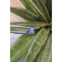 1.13 Ct. Tanzanite from Tanzania Life Style