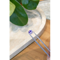 1.58 Ct. Tanzanite from Tanzania Life Style