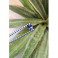 1.95 Ct. Tanzanite from Tanzania Life Style