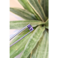 1.59 Ct. Tanzanite from Tanzania Life Style