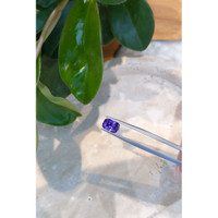 1.72 Ct. Tanzanite from Tanzania Life Style