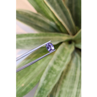 1.20 Ct. Tanzanite from Tanzania Life Style