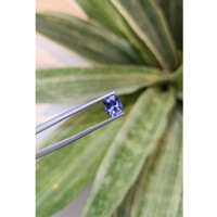 1.47 Ct. Tanzanite from Tanzania Life Style
