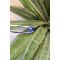 1.37 Ct. Tanzanite from Tanzania Life Style